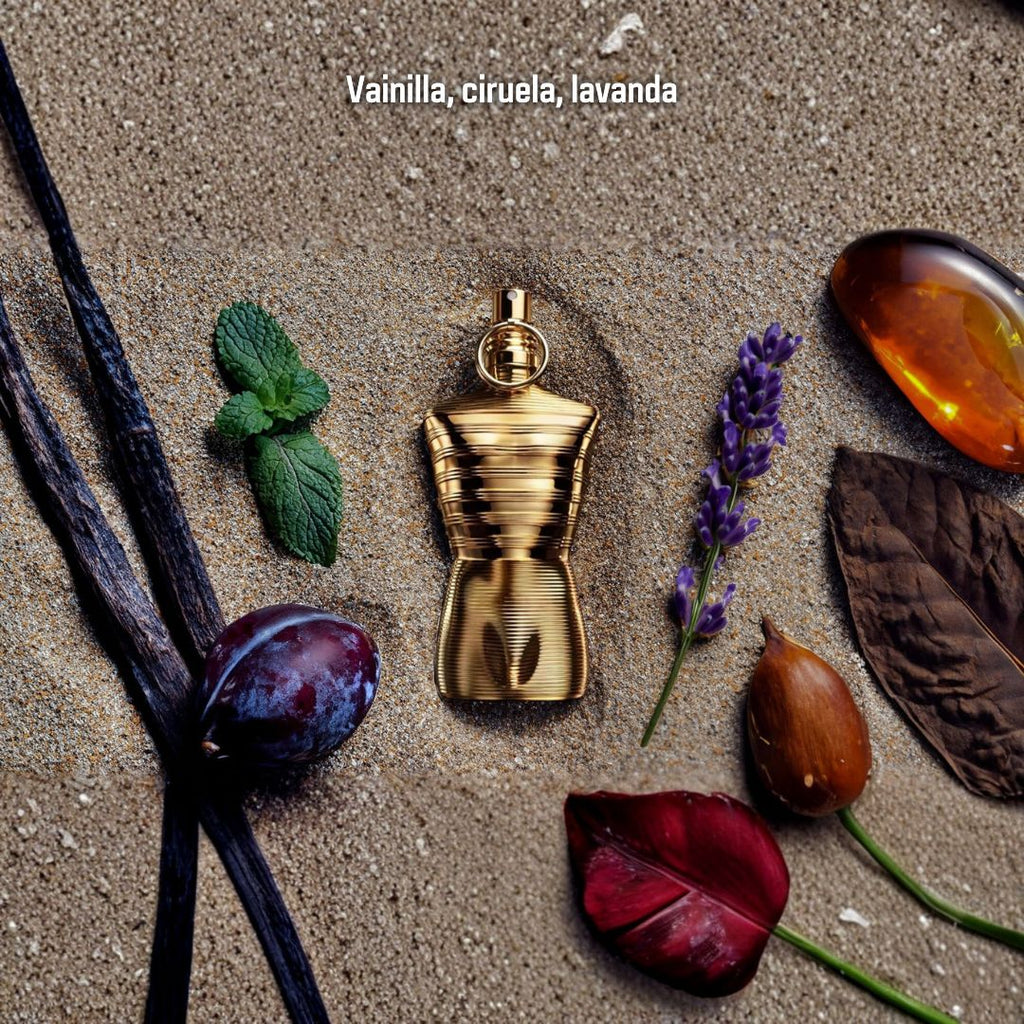 Le Male Elixir Absolu - Extracto importado